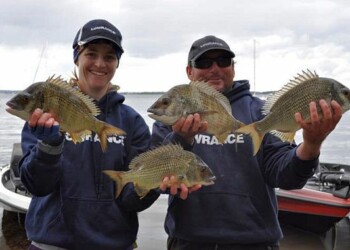 Big bream secure teams invites to BETS Grand Final